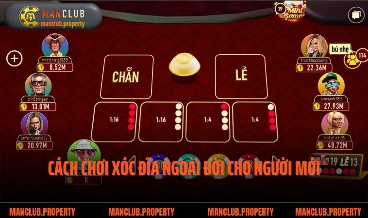 Cách Chơi Xóc Đĩa Ngoài Đời Chuẩn 100% Từ Chuyên Gia